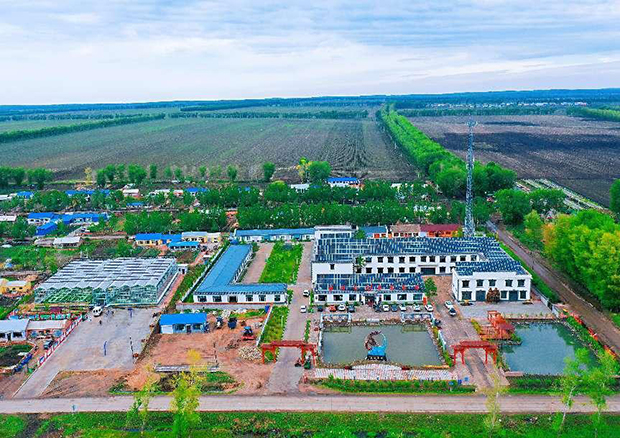 image003.jpg image003.jpg