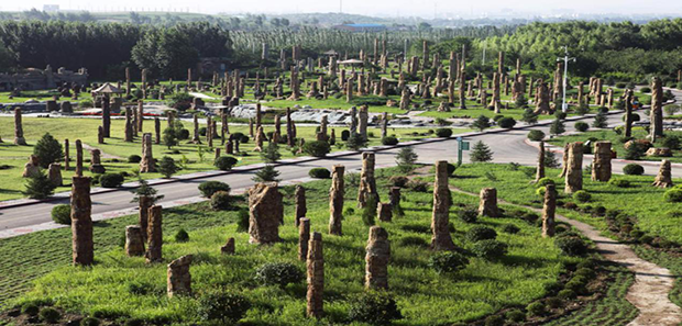 image005.png image005.png