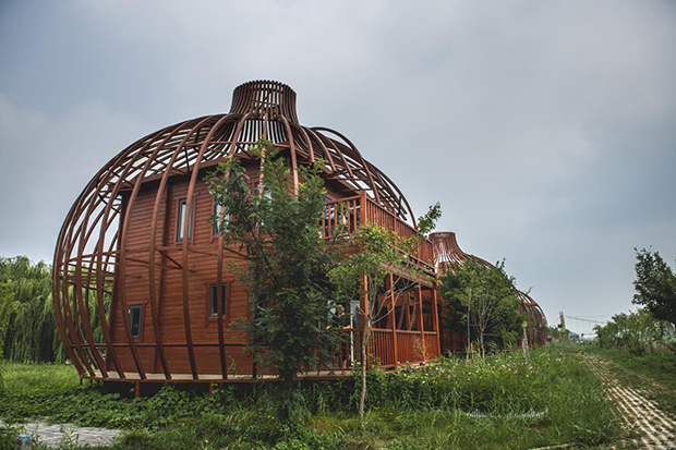 image009.jpg image009.jpg