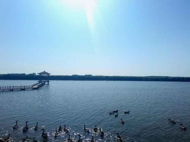 Honeyview_image007.jpg Honeyview_image007.jpg