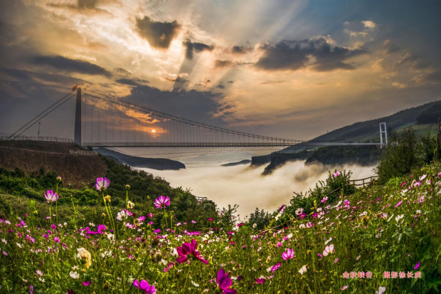 image003 (2).jpg image003 (2).jpg