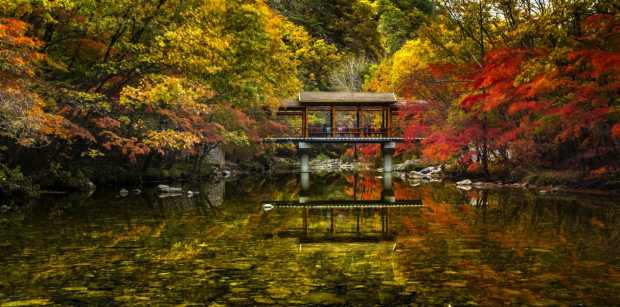 image005 (2).jpg image005 (2).jpg