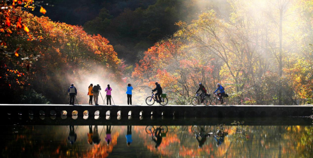 image009 (2).jpg image009 (2).jpg